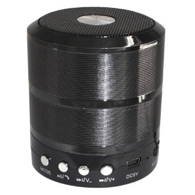 SKOSS Mini Bluetooth Speaker WS 887 with FM Radio, Memory Card Slot, USB Pen Drive Slot, AUX Input Mode (Black)