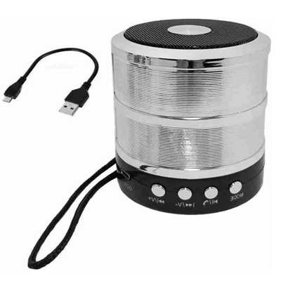 SKOSS Mini Bluetooth Speaker WS 887 with FM Radio, Memory Card Slot, USB Pen Drive Slot, AUX Input Mode (Silver)